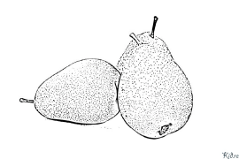 pear Coloring Pages To Print